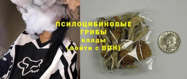 первитин Инсар