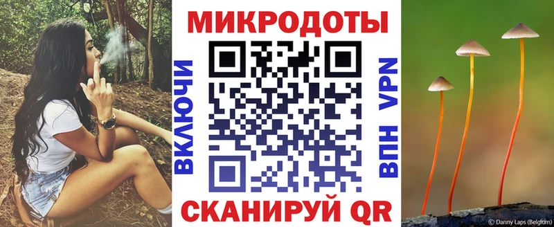 Купить закладки  Галич  Галлюциногенные грибы MAGIC MUSHROOMS 